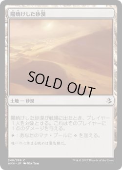 画像1: 陽焼けした砂漠/Sunscorched Desert (AKH)