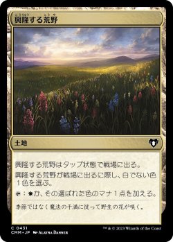 画像1: 興隆する荒野/Thriving Heath (CMM)《Foil》