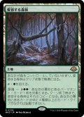 変容する森林/Shifting Woodland (MH3)