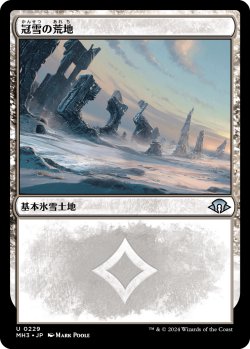 画像1: 冠雪の荒地/Snow-Covered Wastes (MH3)