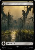 沼/Swamp 【Ver.2】 (ACR)