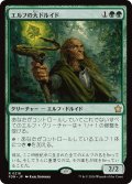 エルフの大ドルイド/Elvish Archdruid (FDN)