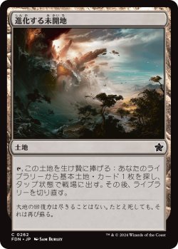 画像1: 進化する未開地/Evolving Wilds (FDN)《Foil》