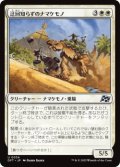 迂回知らずのナマケモノ/Unswerving Sloth (DFT)《Foil》