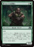 牙ドルイドの召喚士/Fang-Druid Summoner (DFT)《Foil》