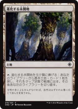 画像1: 進化する未開地/Evolving Wilds (CN2)《Foil》