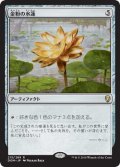 金粉の水蓮/Gilded Lotus (DOM)