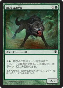 画像1: 暗茂みの狼/Darkthicket Wolf (ISD)《Foil》