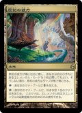 原初の彼方/Primal Beyond (MOR)《Foil》