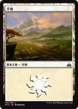 画像1: 平地/Plains (RIX)《Foil》