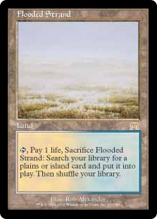 マジック：ザ・ギャザリング - [MTG]溢れかえる岸辺x5，草むした墓x4の