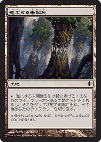 画像1: 進化する未開地/Evolving Wilds (C13) (1)