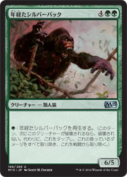 画像1: 年経たシルバーバック/Ancient Silverback (M15) (1)