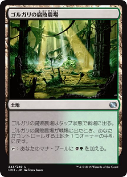 画像1: ゴルガリの腐敗農場/Golgari Rot Farm (MM2) (1)