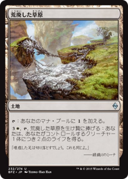 画像1: 荒廃した草原/Blighted Steppe (BFZ) (1)