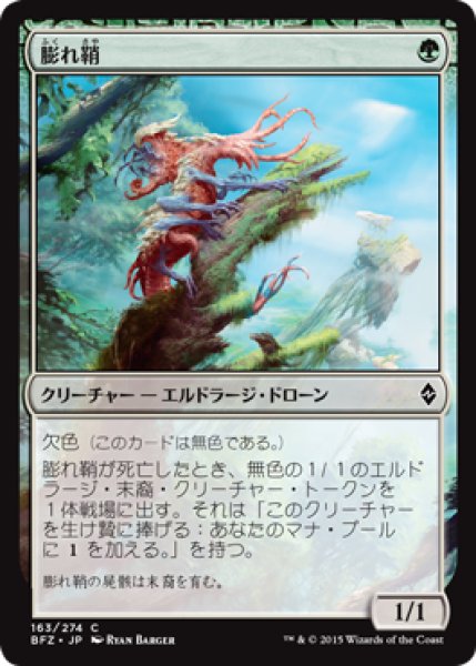 画像1: 膨れ鞘/Blisterpod (BFZ) (1)