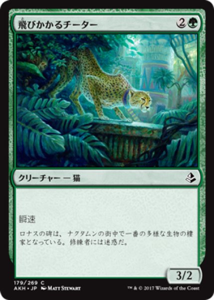 画像1: 飛びかかるチーター/Pouncing Cheetah (AKH) (1)