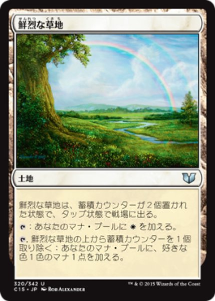 画像1: 鮮烈な草地/Vivid Meadow (C15) (1)