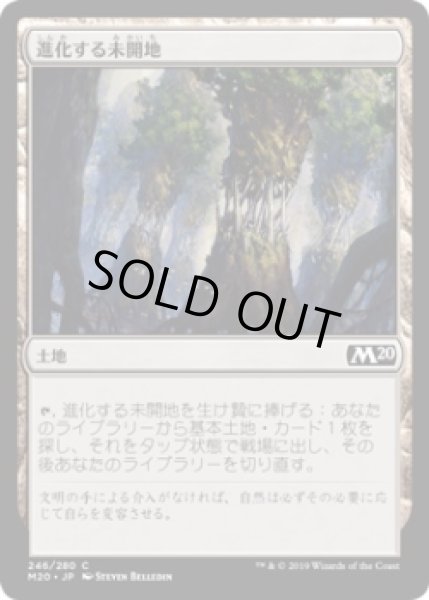 画像1: 進化する未開地/Evolving Wilds (M20)《Foil》 (1)