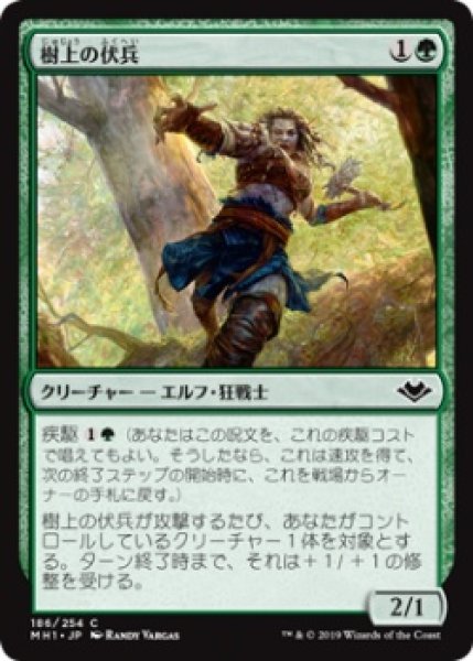 画像1: 樹上の伏兵/Treetop Ambusher (MH1)《Foil》 (1)