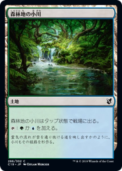 画像1: 森林地の小川/Woodland Stream (C19) (1)