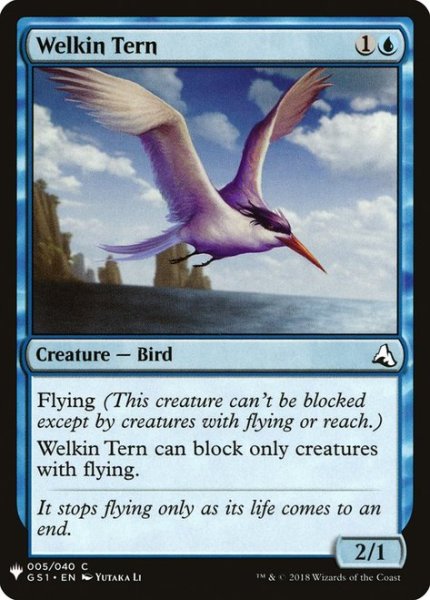 画像1: 天空のアジサシ/Welkin Tern (Mystery Booster) (1)