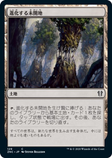 画像1: 進化する未開地/Evolving Wilds (ZNC) (1)