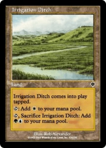 画像1: 用水路/Irrigation Ditch (INV)《Foil》 (1)