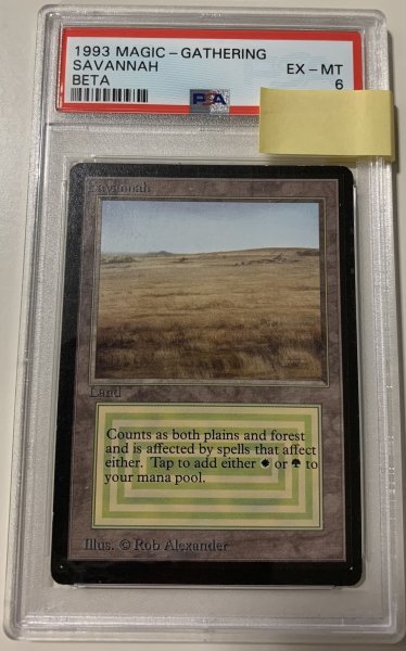 画像1: Savannah　 (LEB)   【PSA6】 (1)