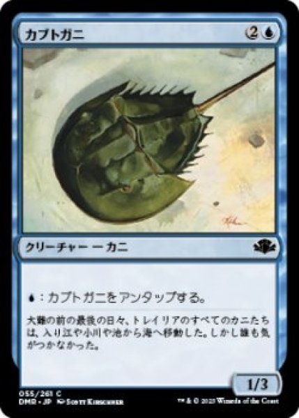 画像1: カブトガニ/Horseshoe Crab (DMR)《Foil》 (1)