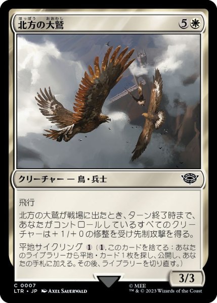 画像1: 北方の大鷲/Eagles of the North (LTR) (1)