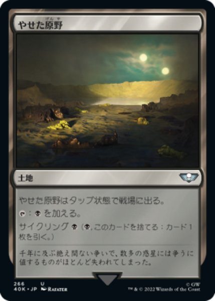 画像1: やせた原野/Barren Moor (40K) (1)