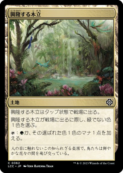 画像1: 興隆する木立/Thriving Grove (LCC) (1)