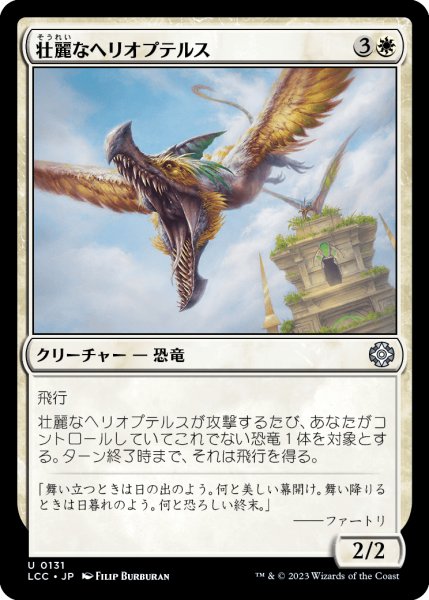 画像1: 壮麗なヘリオプテルス/Majestic Heliopterus (LCC) (1)