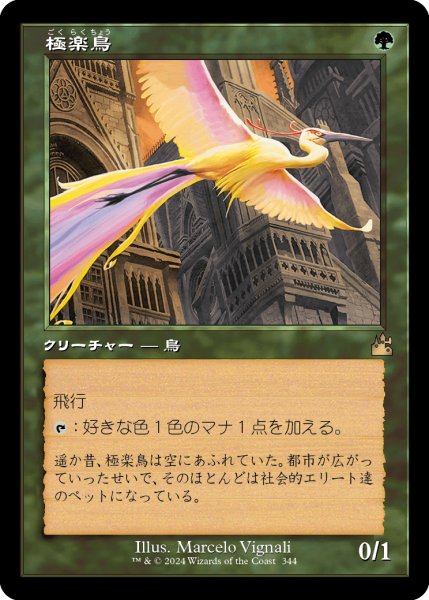 画像1: 極楽鳥/Birds of Paradise (RVR)【旧枠版】 (1)