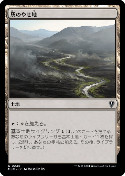 画像1: 灰のやせ地/Ash Barrens (MKC) (1)