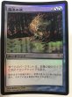 画像1: 魔法の夜/Enchanted Evening (SHM)《Foil》【EX-~PLD】【カウントダウン】 (1)