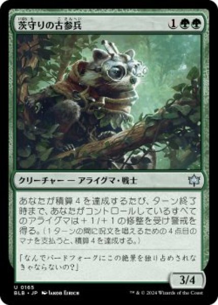 画像1: 茨守りの古参兵/Brambleguard Veteran (BLB)《Foil》 (1)