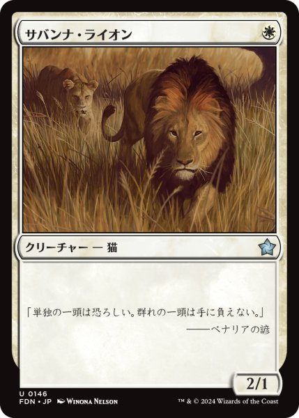 画像1: サバンナ・ライオン/Savannah Lions (FDN) (1)