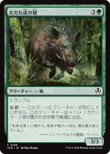 画像1: ただれ皮の猪/Festerhide Boar (INR)《Foil》 (1)