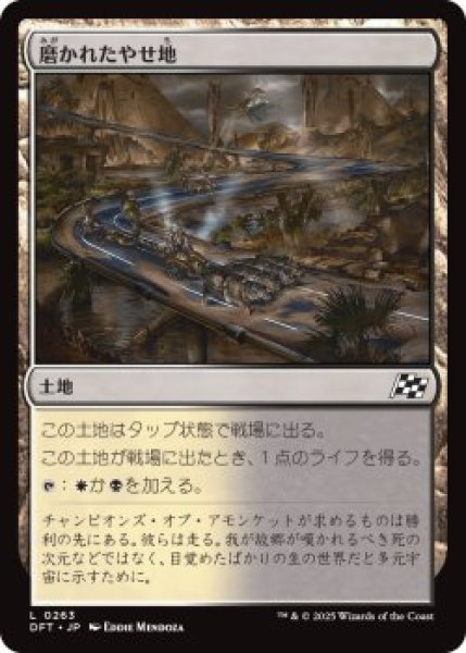 画像1: 磨かれたやせ地/Scoured Barrens (DFT)《Foil》 (1)