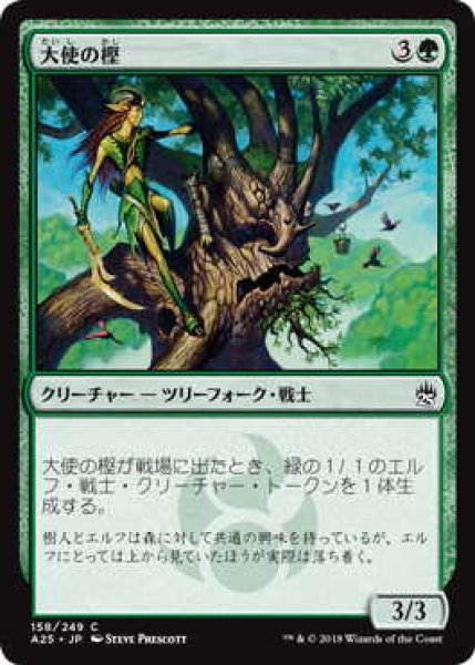 画像1: 大使の樫/Ambassador Oak (A25) (1)