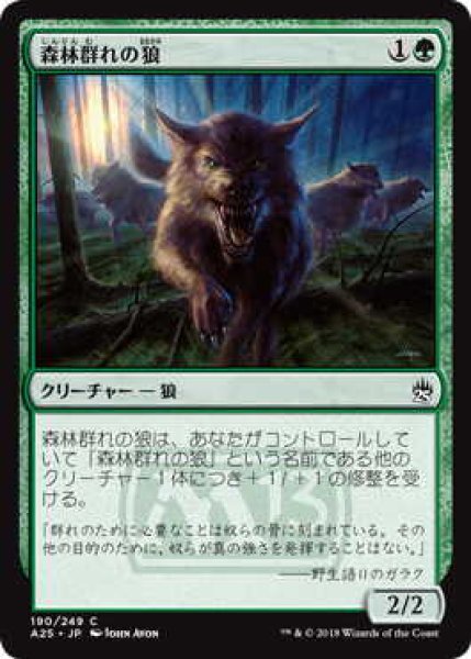 画像1: 森林群れの狼/Timberpack Wolf (A25) (1)