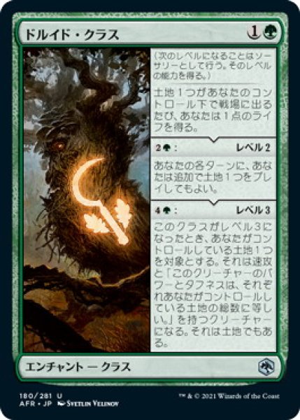 画像1: ドルイド・クラス/Druid Class (AFR) (1)