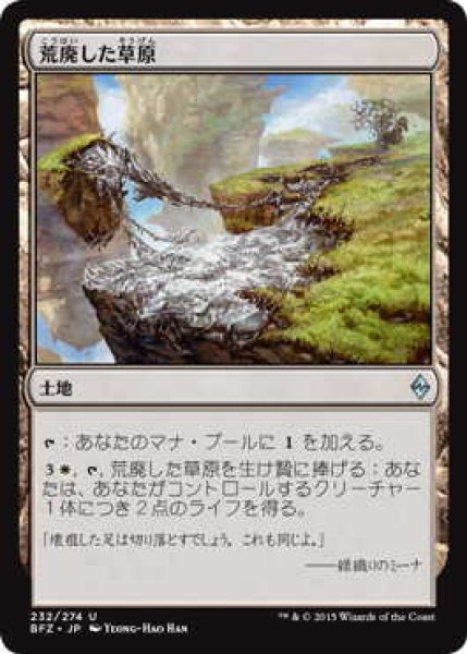 画像1: 荒廃した草原/Blighted Steppe (BFZ)《Foil》 (1)