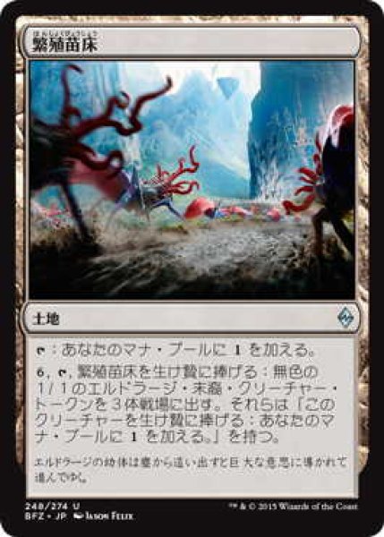 画像1: 繁殖苗床/Spawning Bed (BFZ)《Foil》 (1)