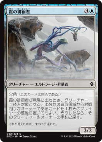 画像1: 霞の徘徊者/Murk Strider (BFZ)《Foil》 (1)