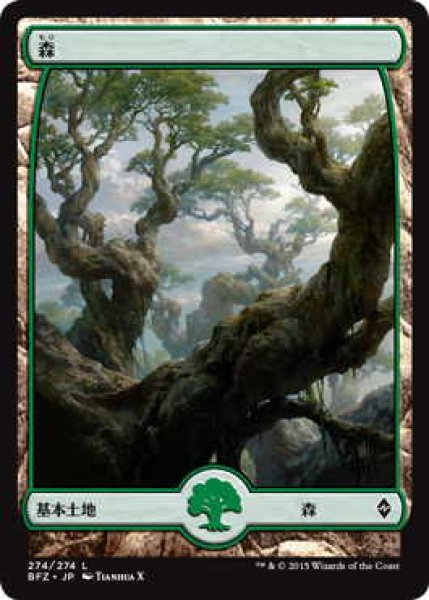 画像1: 森/Forest【Ver.5】(BFZ)《Foil》 (1)