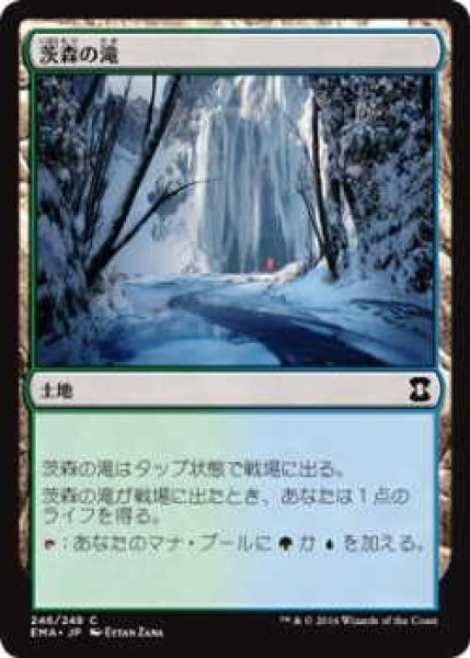 画像1: 茨森の滝/Thornwood Falls (EMA)《Foil》 (1)