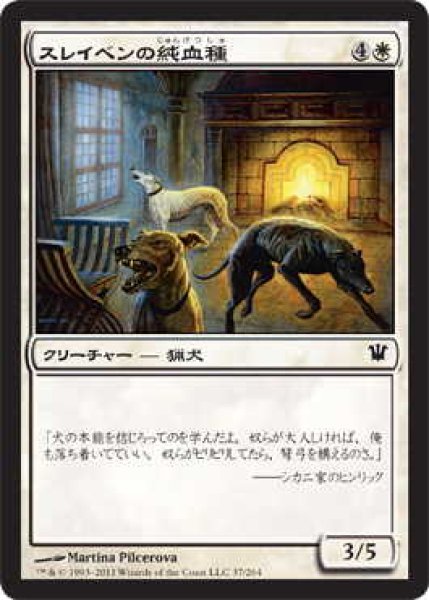 画像1: スレイベンの純血種/Thraben Purebloods (ISD)《Foil》 (1)